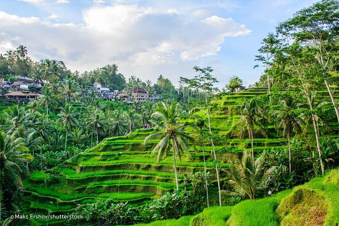 The Best Places to Visit in Bali: A Guide to the Island’s Must-See Destinations